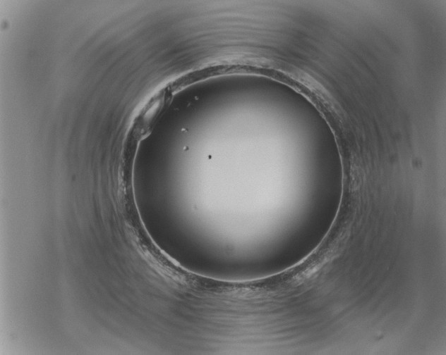 X0000069380880200605192146