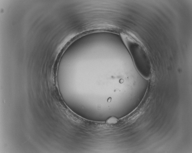 X0000069380883200605192146