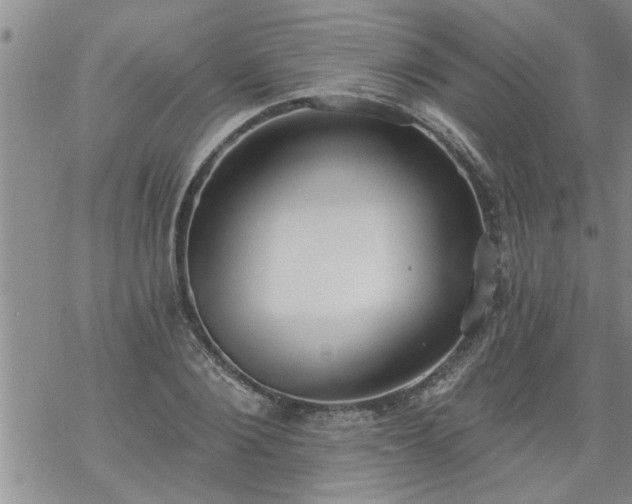 X0000069380884200605192146