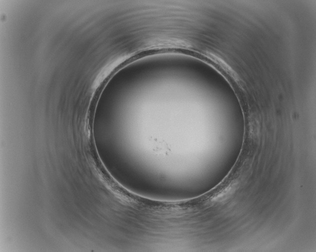 X0000069380885200605192146