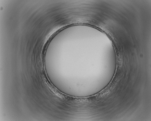 X0000069380886200605192146