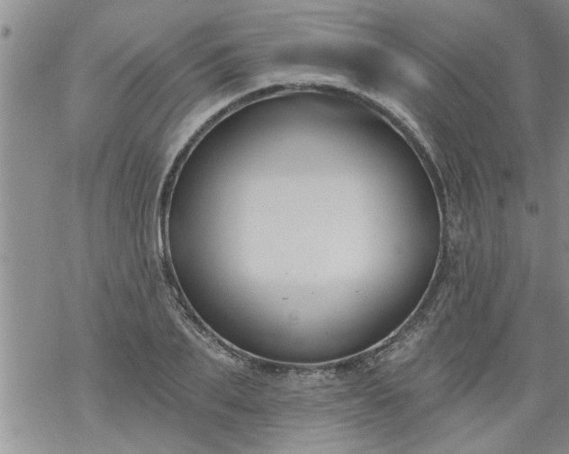 X0000069380887200605192146