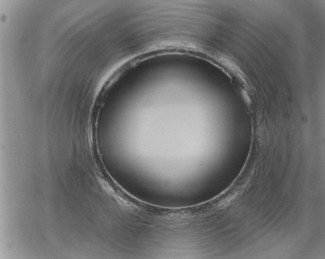 X0000069380888200605192146