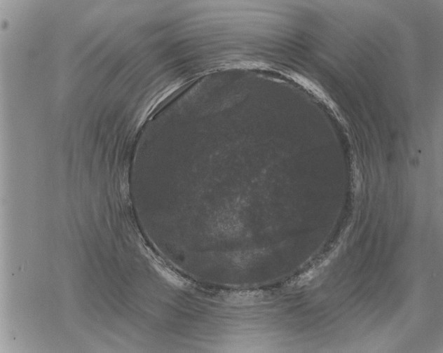 X0000069380889200605192146