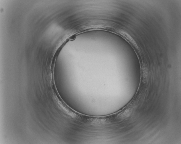 X0000069380890200605192146