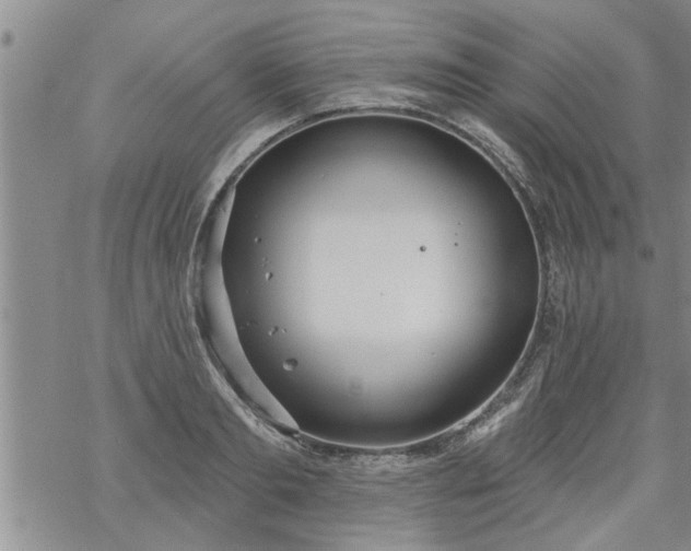 X0000069380893200605192146