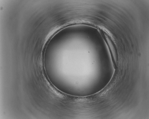 X0000069380894200605192146