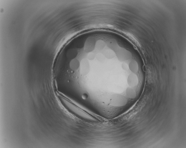 X0000069380895200605192146