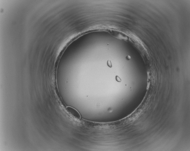 X0000069380896200605192146