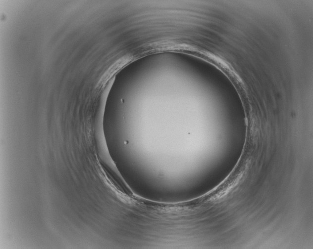 X0000069380897200605192146