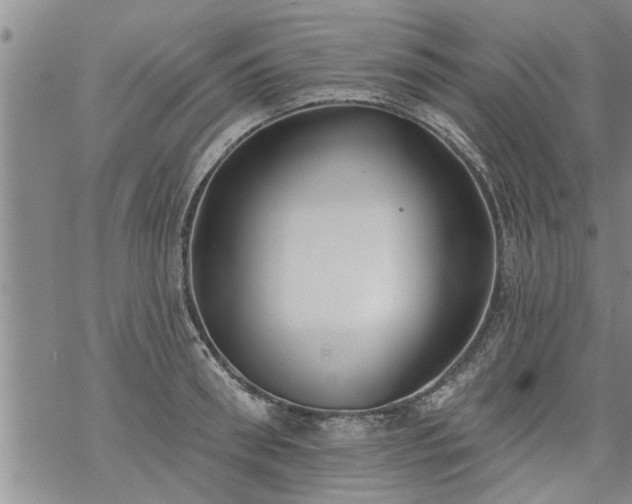 X0000069380898200605192146