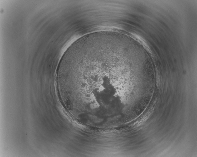 X0000069380899200605192146