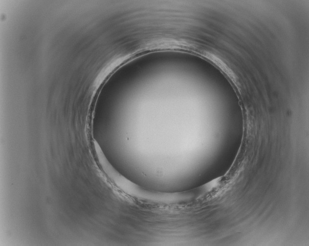 X0000069380901200605192146