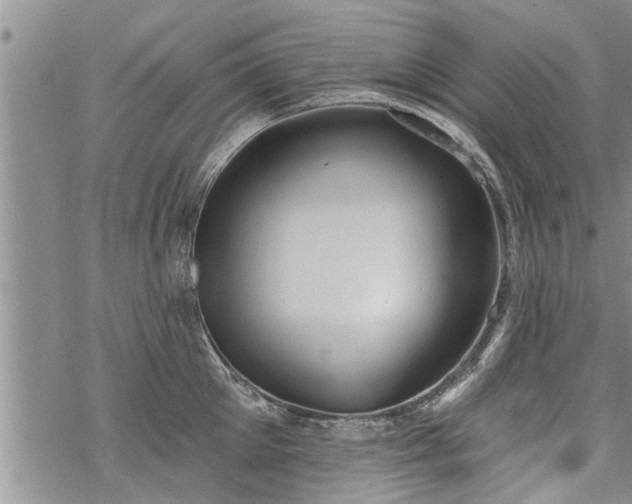 X0000069380905200605192146