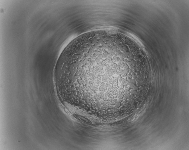 X0000069380907200605192146