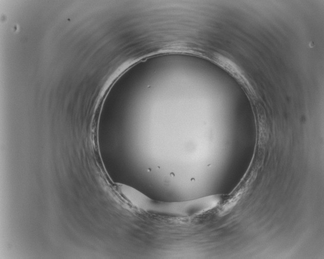 X0000069380908200605192146