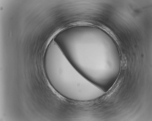 X0000069380909200605192146