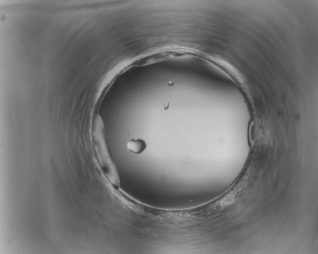 X0000069380910200605192146