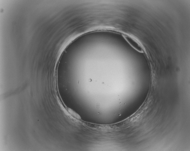 X0000069380911200605192146