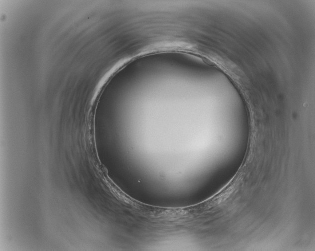 X0000069380912200605192146