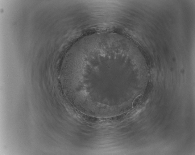 X0000069380913200605192145