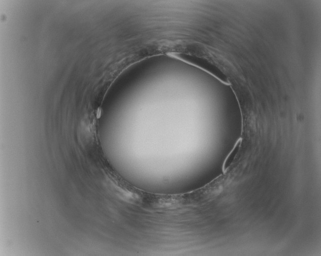 X0000069380914200605192145