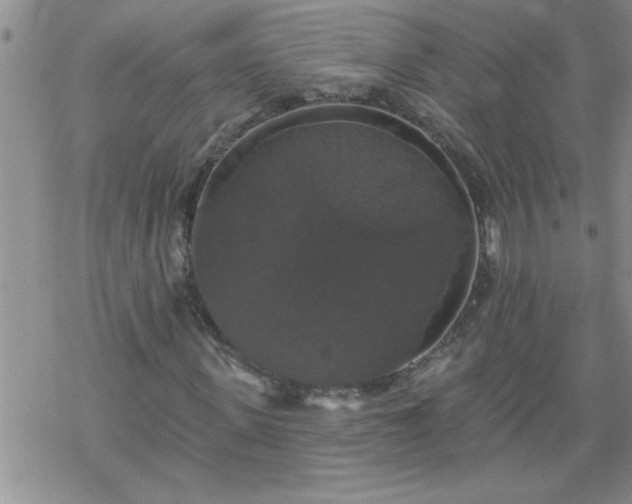 X0000069380915200605192145