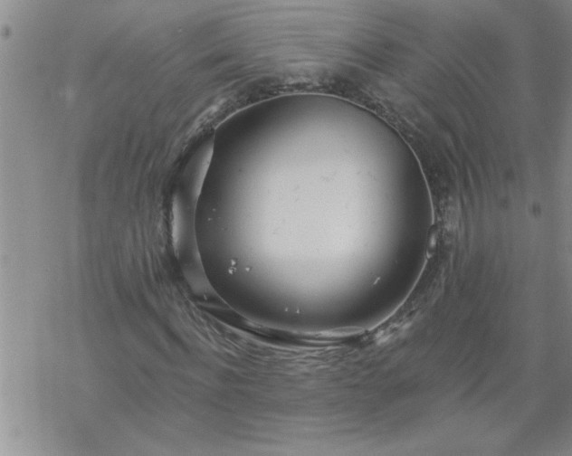 X0000069380916200605192145