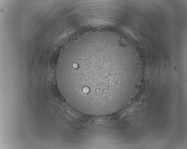 X0000069380917200605192145