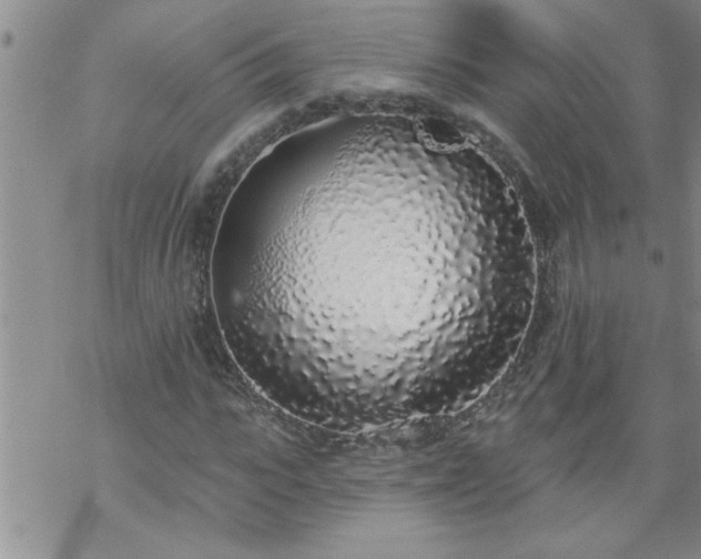 X0000069380919200605192145