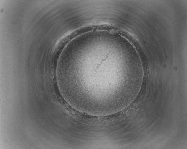 X0000069380920200605192145