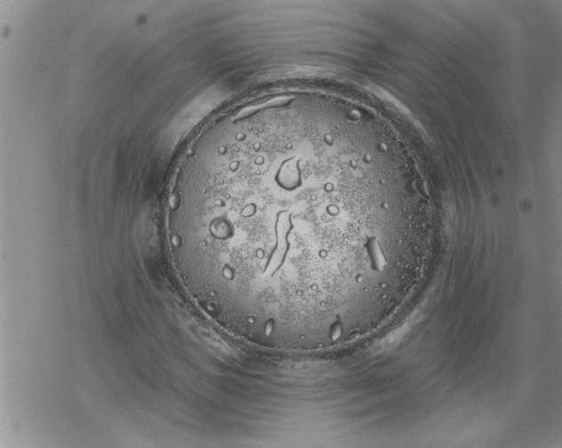 X0000069380921200605192145