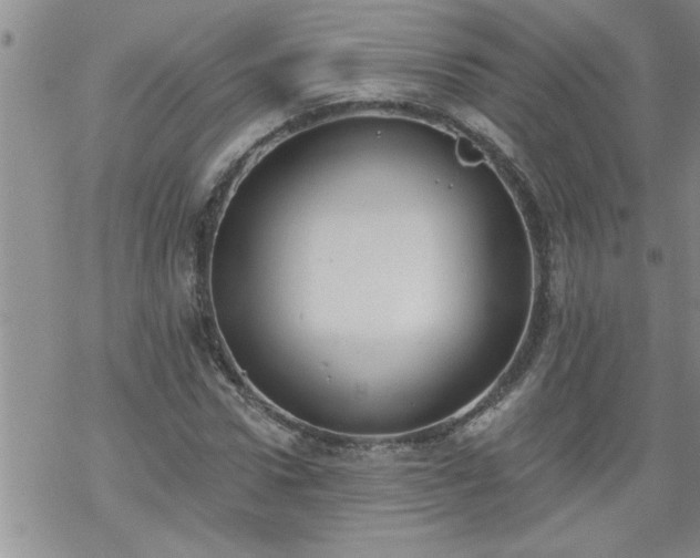 X0000069380922200605192145