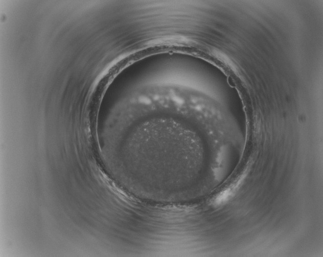 X0000069380923200605192145