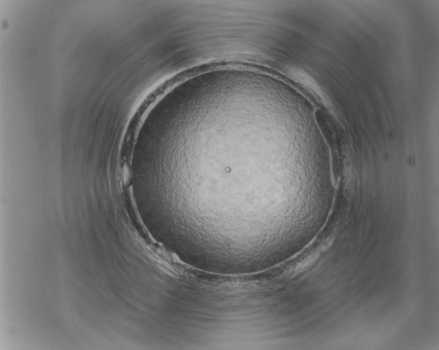 X0000069380924200605192145