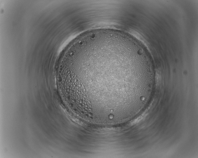 X0000069380925200605192145