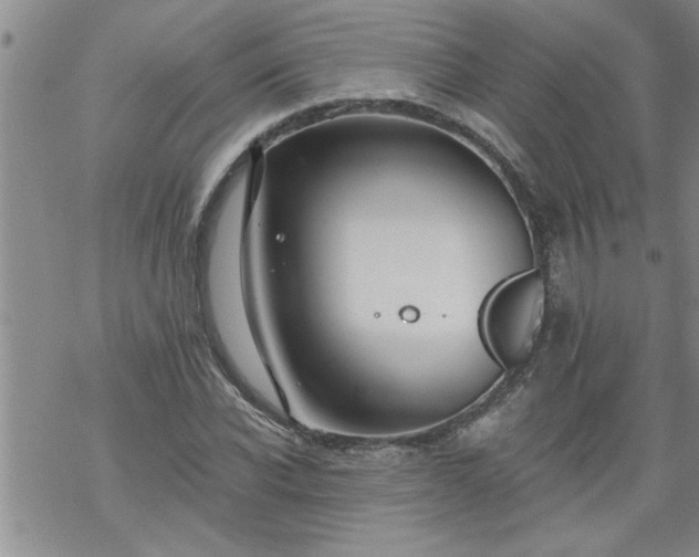 X0000069380926200605192145