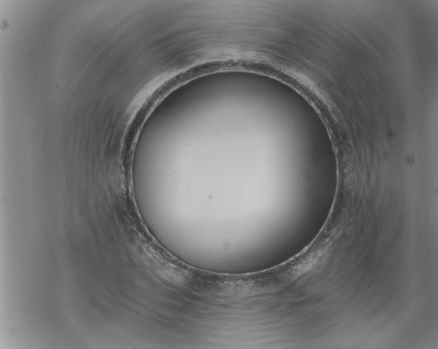 X0000069380927200605192145