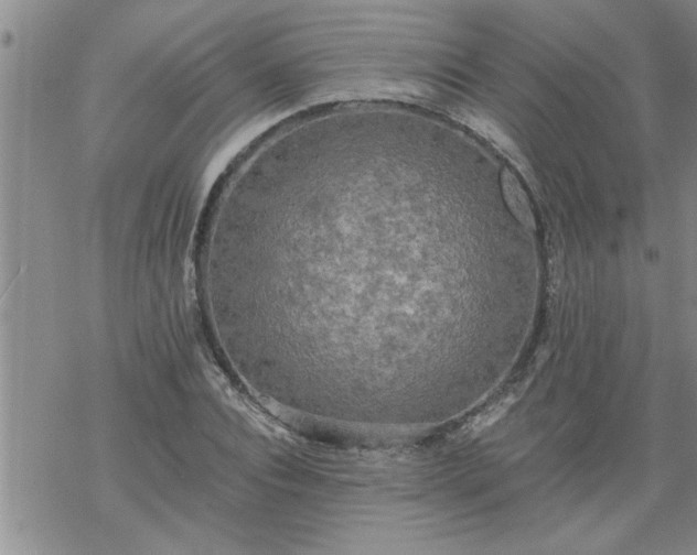 X0000069380928200605192145