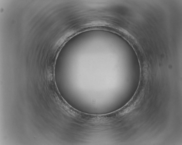 X0000069380929200605192145