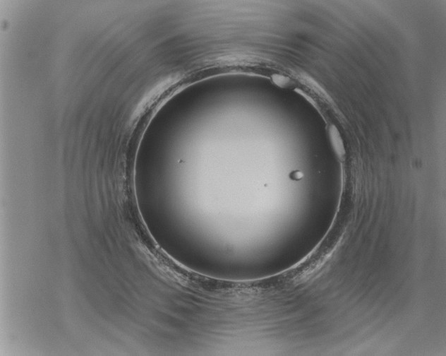 X0000069380930200605192145