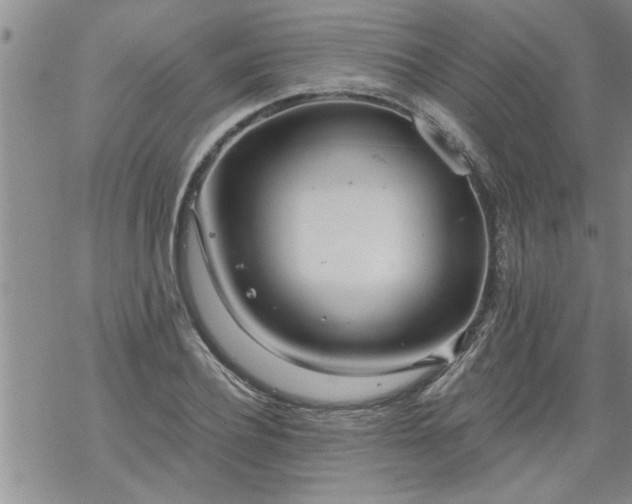 X0000069380932200605192145