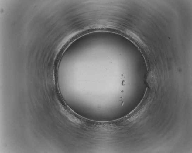 X0000069380934200605192145