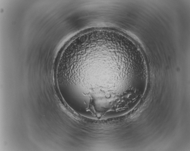 X0000069380935200605192145