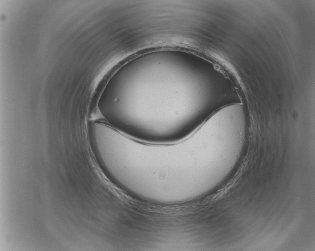 X0000069380936200605192145