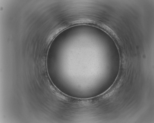 X0000069380937200605192145