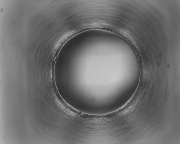 X0000069380938200605192145