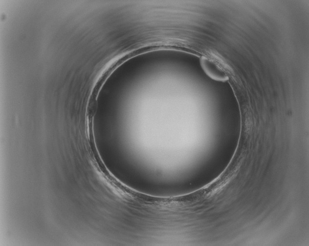 X0000069380940200605192145