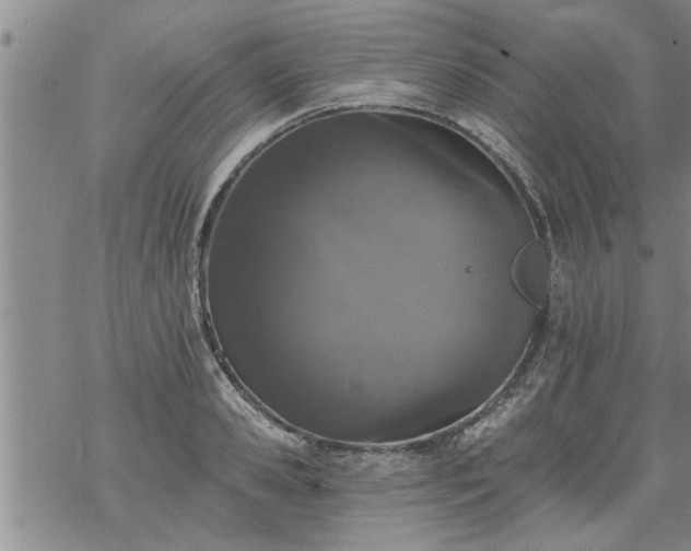 X0000069380941200605192145