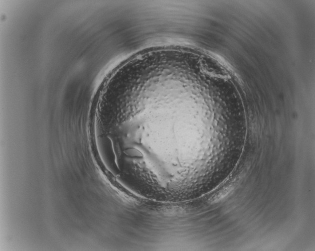 X0000069380943200605192145